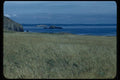 005034 Islands From Grassy Shore A4 Photo Print