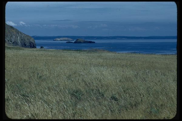 005034 Islands From Grassy Shore A4 Photo Print