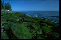 005036 Rocks Covered With Green Vegetation A4 Photo Print