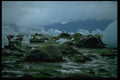 005037 Close Up Of Melting Ice On Stones A4 Photo Print