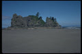 005041 Trees On Rocks At Beach A4 Photo Print