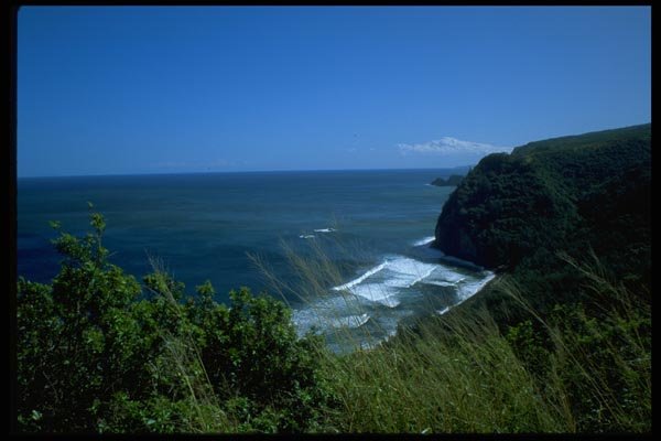 005066 View Of Beach From Green Cliffs A4 Photo Print
