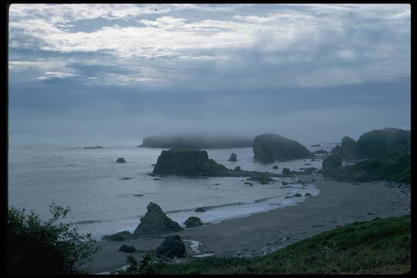 005073 Fog Shrouded Rocks At Beach A4 Photo Print