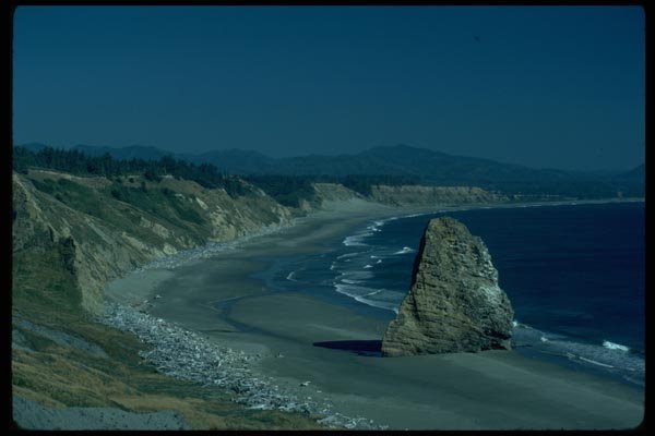 005075 Sandy Beach With Rock And Driftwood A4 Photo Print