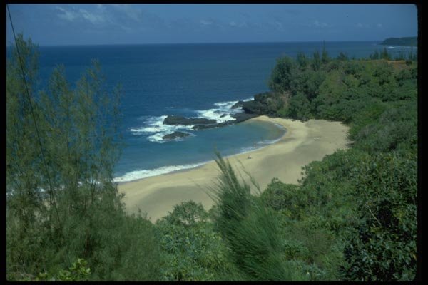 005080 Secluded Sandy Beach A4 Photo Print
