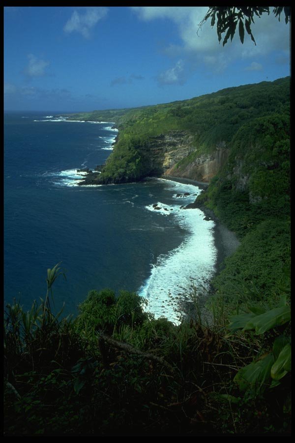 005081 Lush Green Coastline A4 Photo Print