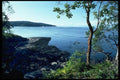 005085 Sailboat Framed By Trees A4 Photo Print