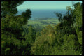 005093 Coastal View Framed By Pines A4 Photo Print