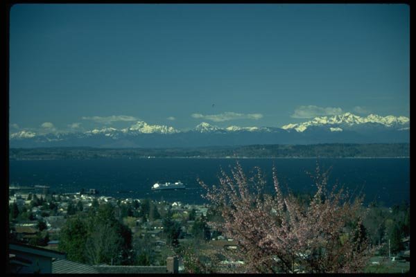005097 Snowcapped Range, Ferry On Bay A4 Photo Print