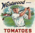 007 Westwood Vintage A4 Photo Print
