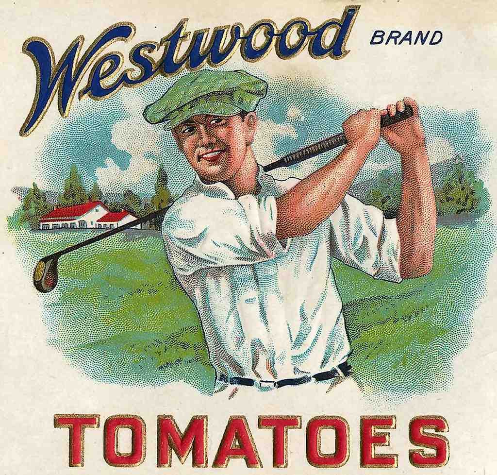007 Westwood Vintage A4 Photo Print