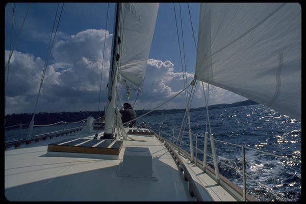 007014 Sailor Looking Forward From Cockpit A4 Photo Print