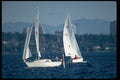 007024 Turning To Go For Home A4 Photo Print