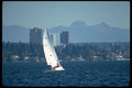 007026 Sloop Alone Under Sail A4 Photo Print