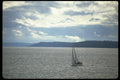 007037 Sloop In Shimmering Harbour A4 Photo Print