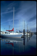 007039 Sailboats In Row A4 Photo Print