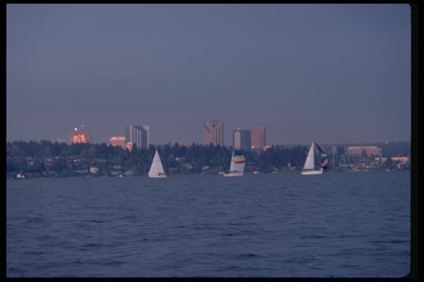 007043 Sailboats In Lake With Skyscrapers A4 Photo Print