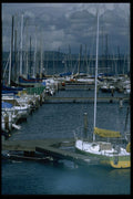 007049 Sailboat Marina A4 Photo Print