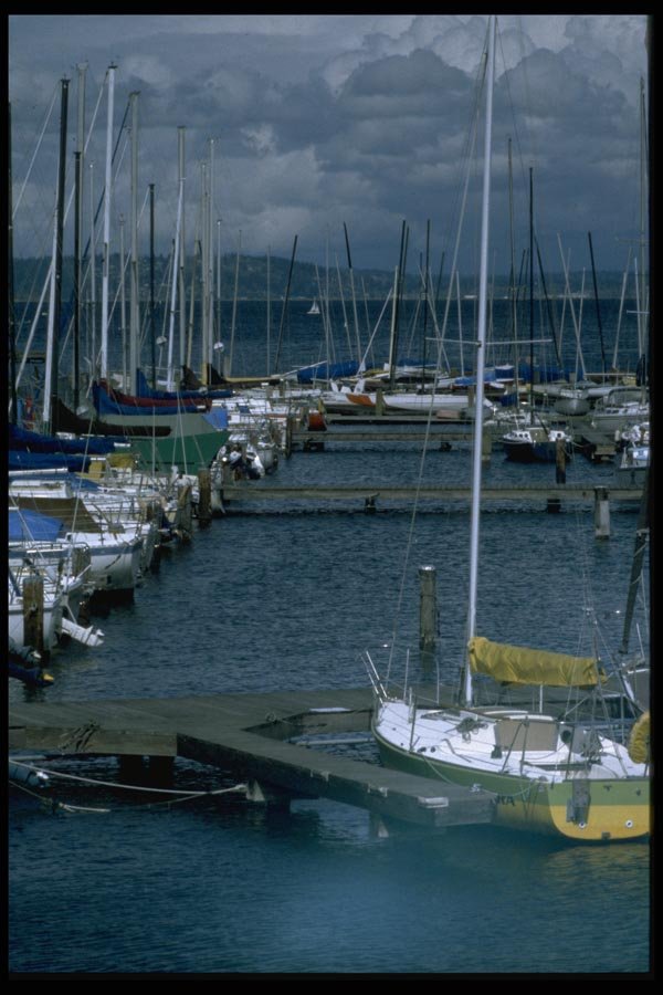 007049 Sailboat Marina A4 Photo Print
