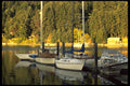 007050 Sailboats Docked At Pier A4 Photo Print