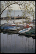 007052 Catboats On Dock A4 Photo Print