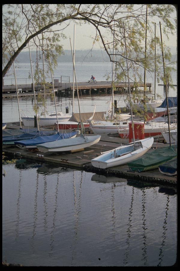 007052 Catboats On Dock A4 Photo Print
