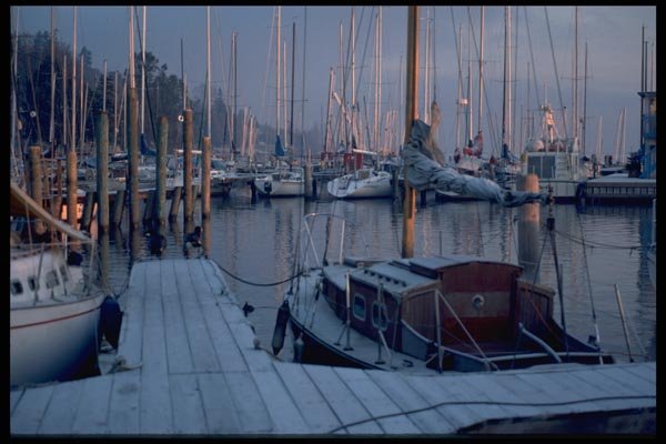 007063 Masts And Pilings A4 Photo Print