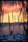 007069 Sunrise, Snow And Mist At Marina A4 Photo Print