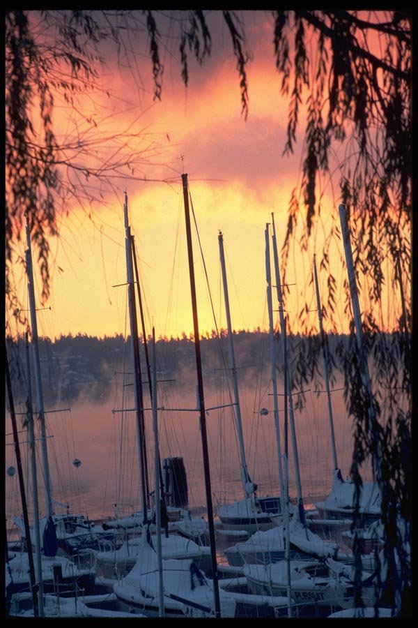 007069 Sunrise, Snow And Mist At Marina A4 Photo Print