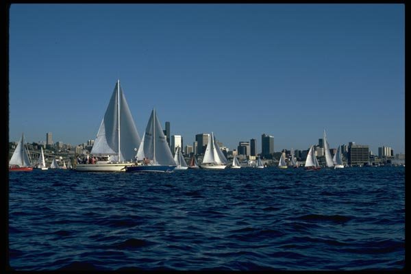 007084 Sloops On Opening Day A4 Photo Print