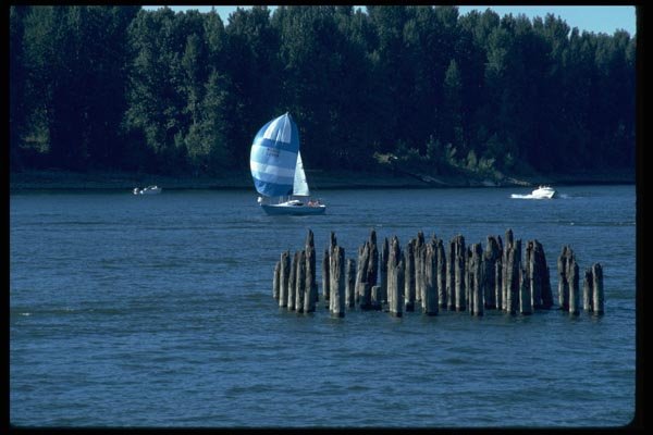 007085 Sloop With Spinnaker By Old Pilings A4 Photo Print