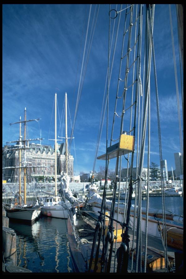 007097 At Dock In Victoria A4 Photo Print