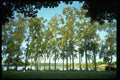 009017 Lakeside Jogging Trail A4 Photo Print