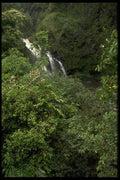 009038 Waterfall In Mountain Glade A4 Photo Print