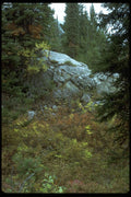 009065 Rock Outcropping, Fall Foliage A4 Photo Print