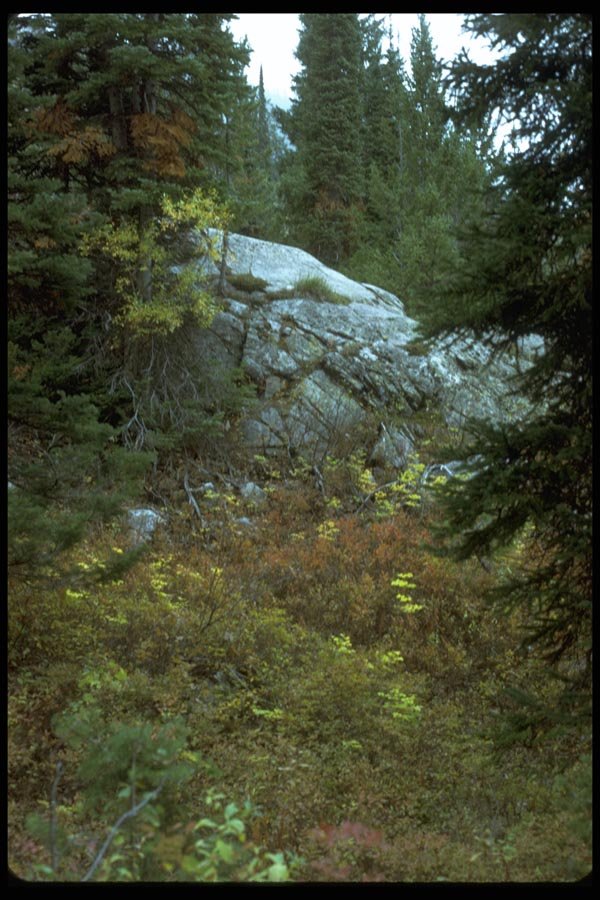 009065 Rock Outcropping, Fall Foliage A4 Photo Print