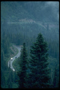 009083 Evergreen On Rim Of Valley A4 Photo Print