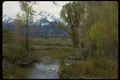 009085 Fall Colors On Stream, Mountains Behind A4 Photo Print