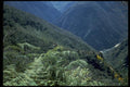 009089 Forested Mountains A4 Photo Print