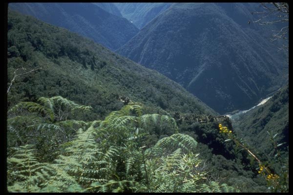 009089 Forested Mountains A4 Photo Print