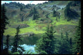 009097 Evergreens Before Still Alpine Lake A4 Photo Print