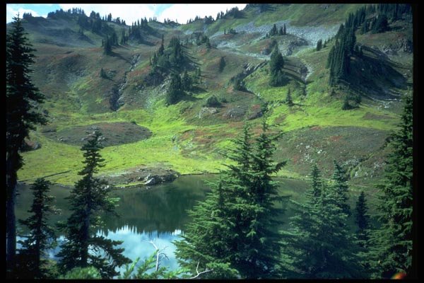 009097 Evergreens Before Still Alpine Lake A4 Photo Print