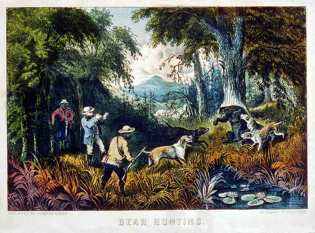 010 Bear Hunting Vintage A4 Photo Print