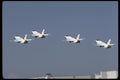 010044 Four F 16s Taking Off A4 Photo Print
