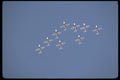 010067 Nine Snowbirds In Flight, From Below A4 Photo Print