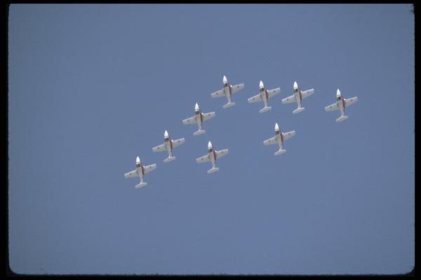 010067 Nine Snowbirds In Flight, From Below A4 Photo Print