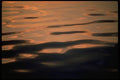 011005 Gold Satiny Water A4 Photo Print