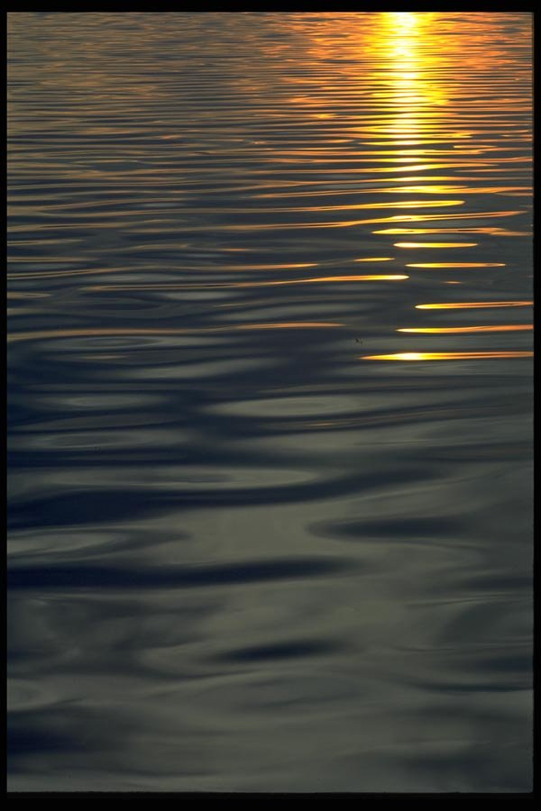 011006 Lake Ripples A4 Photo Print