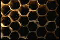 011020 Honeycomb A4 Photo Print