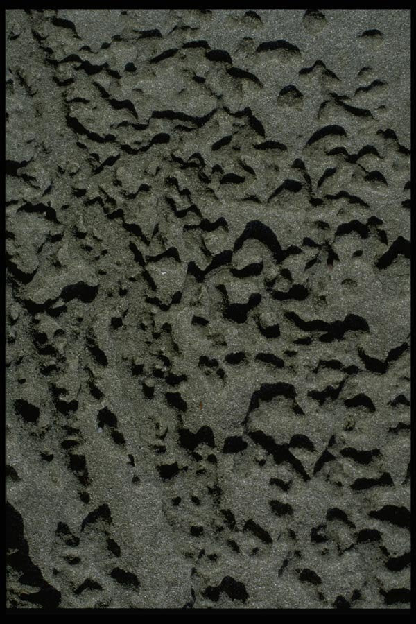 011028 Wet Sand Patterns A4 Photo Print